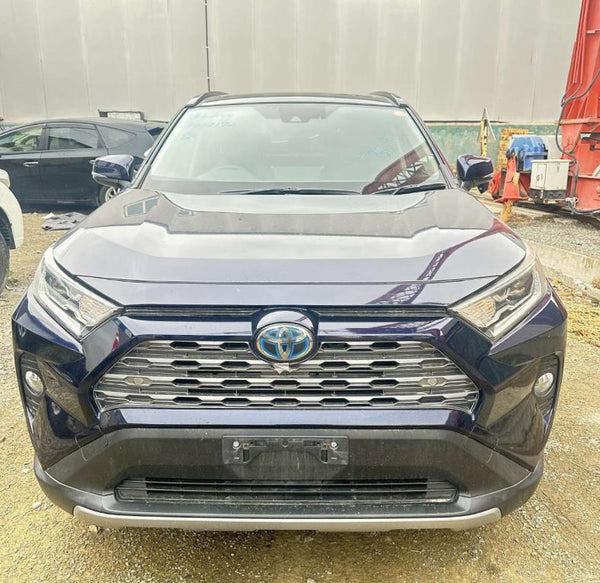 Toyota RAV4 2019/2026