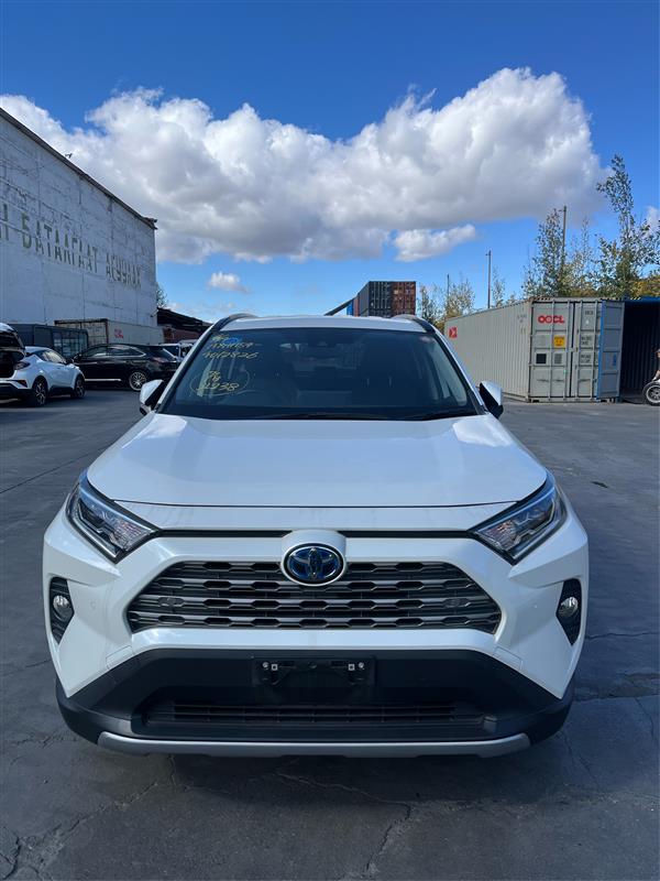 Toyota RAV4 2019/2026