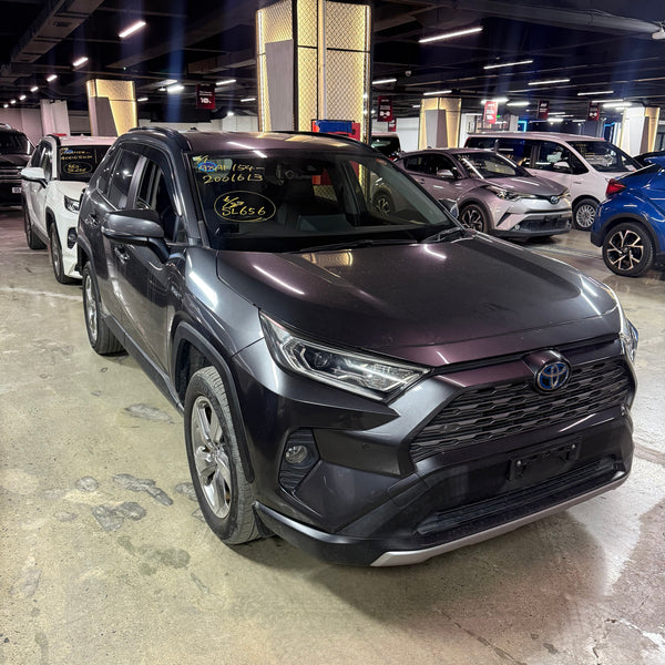 Toyota RAV4 2019/2026