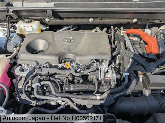 Toyota RAV4 2019/2026