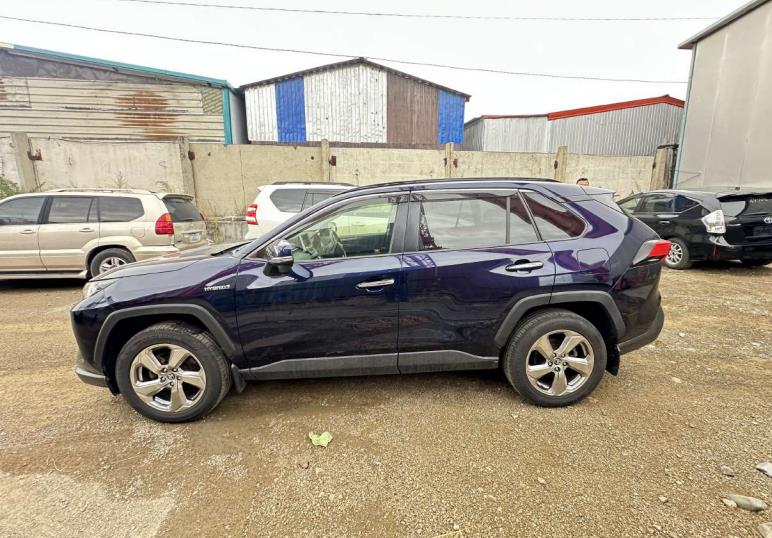 Toyota RAV4 2019/2026
