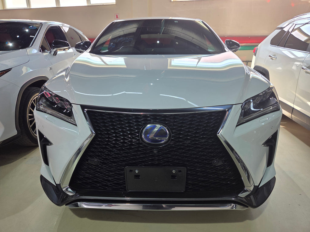 Lexus RX450  2016/2026
